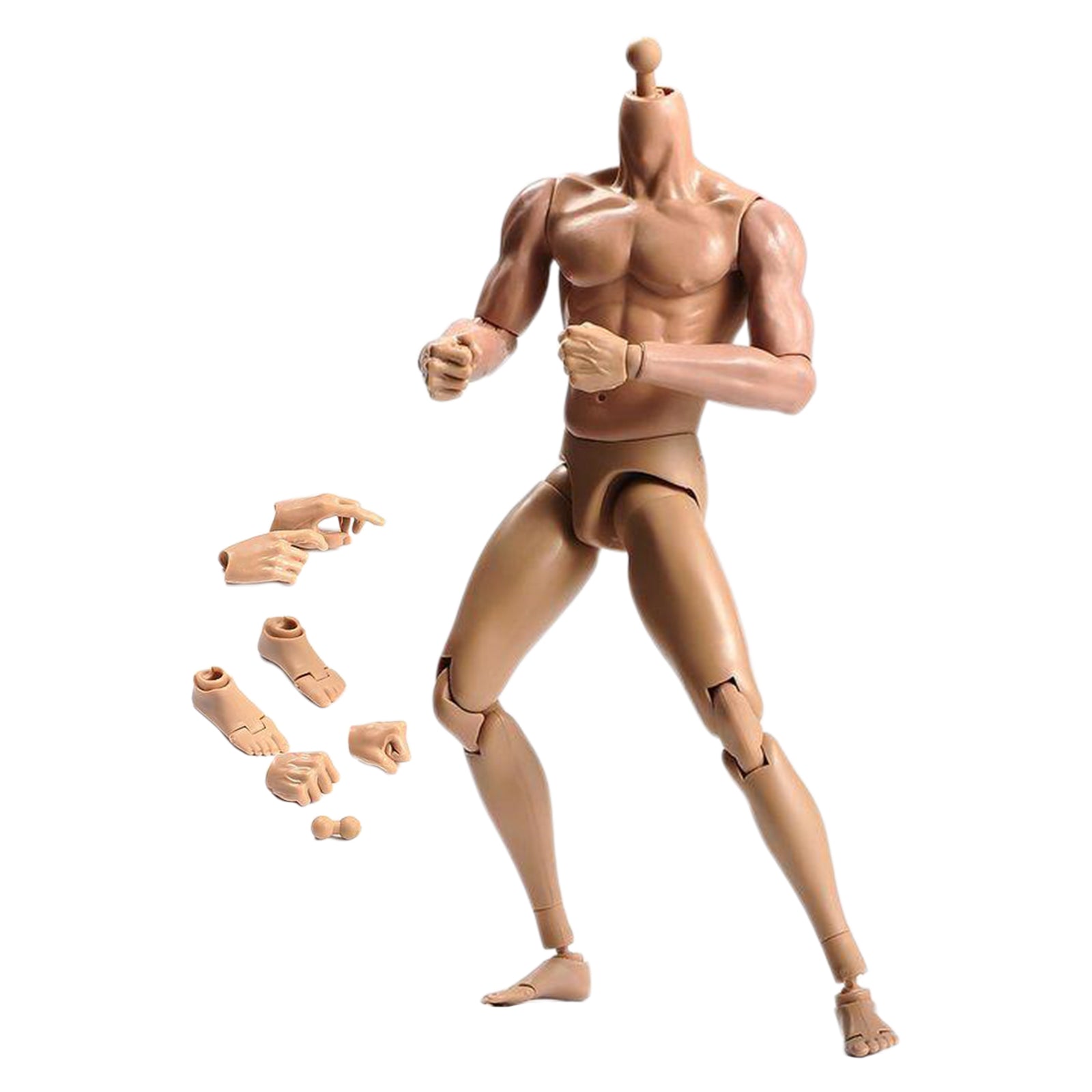 1/6 Scale Male Muscular Body Figures Toy 12 Inch Male Body for Collections