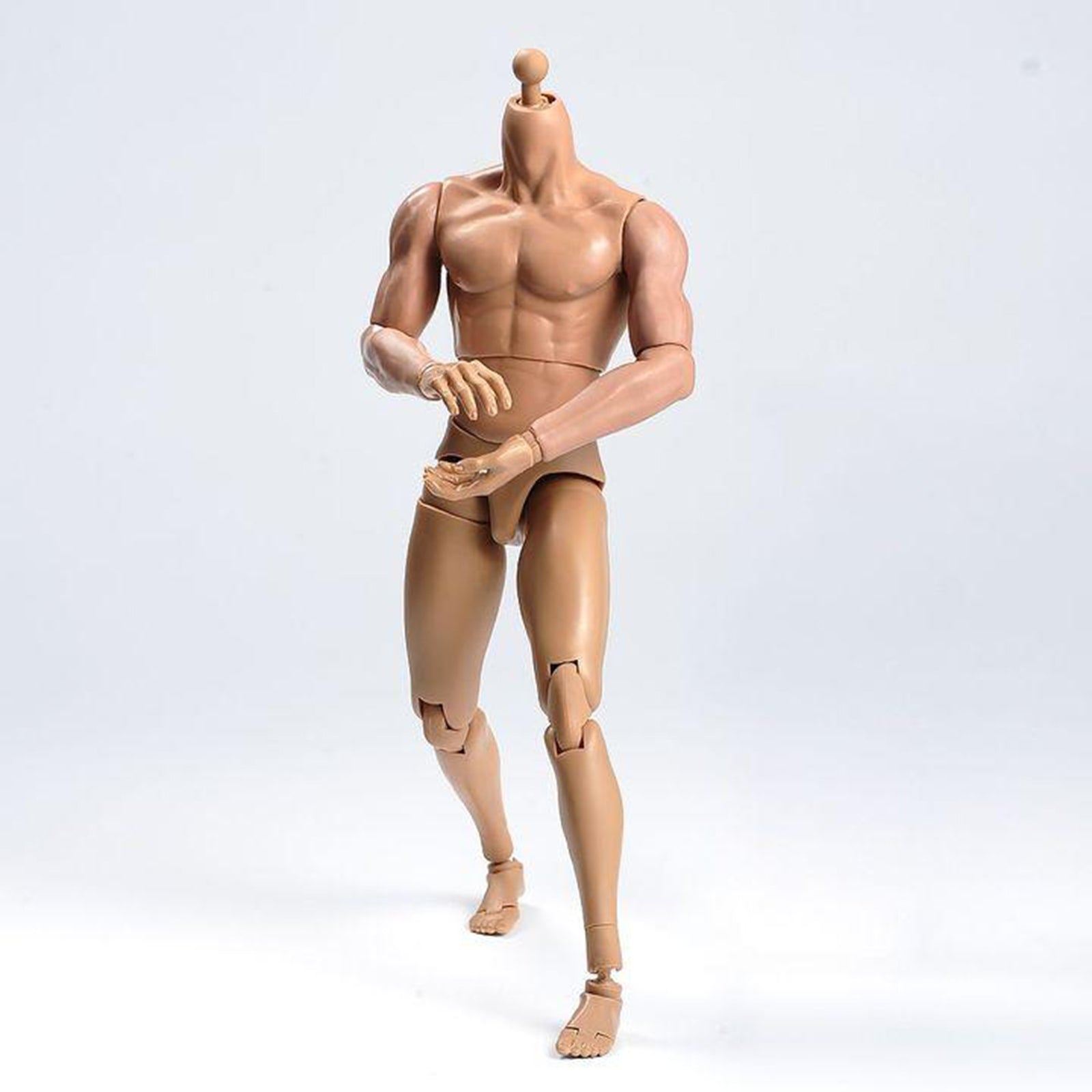 1/6 Scale Male Muscular Body Figures Toy 12 Inch Male Body for Collections