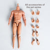 1/6 Scale Male Muscular Body Figures Toy 12 Inch Male Body for Collections