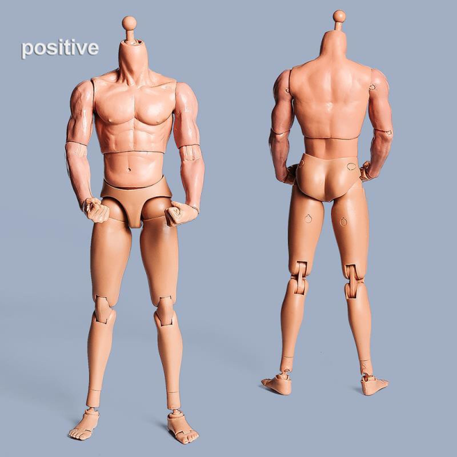 1/6 Scale Male Muscular Body Figures Toy 12 Inch Male Body for Collections