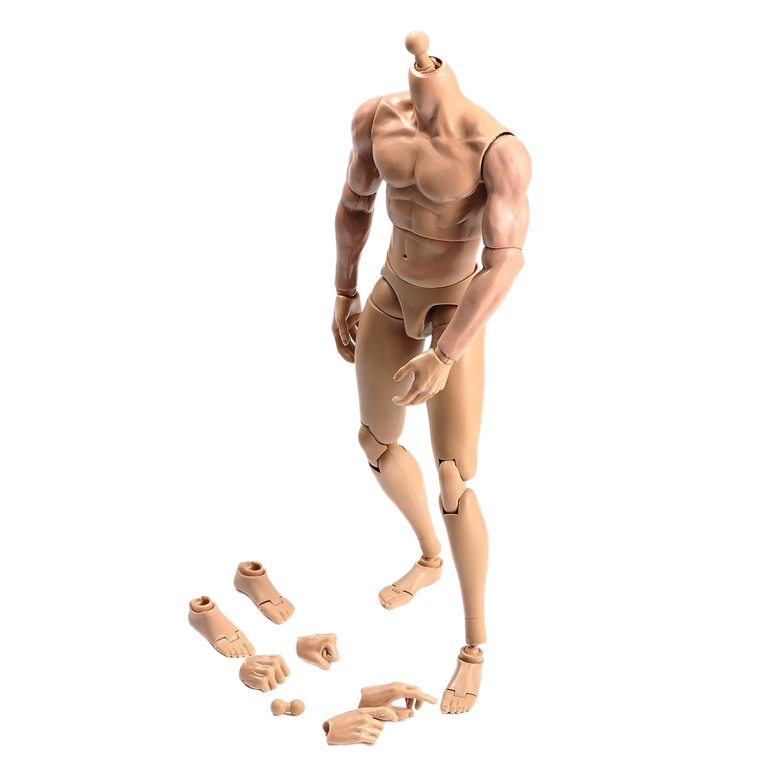 1/6 Scale Male Muscular Body Figures Toy 12 Inch Male Body for Collections