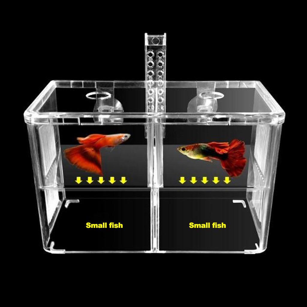 Hang Breeding Box Aquarium Fishes Fry Breeder Acclimation Hatchery Incubator