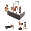Load image into Gallery viewer, Horse Figure Animal Model Action Figurine Farm Scene Collector Toy Decor