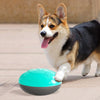 Dog Play Ball Treat Dispenser Pet Cat Interactive Toy Food Dispenser Blue