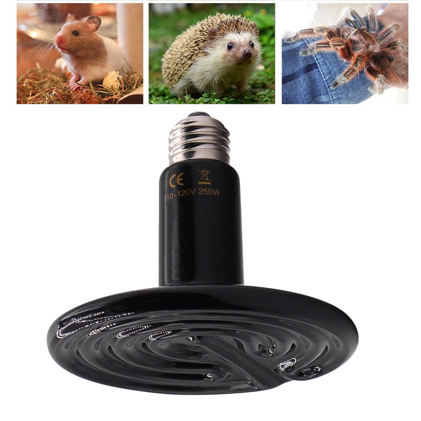 Reptile Heating Lamp Heat Bulb Far IR Turtles Brooder Snake Light 200W Black