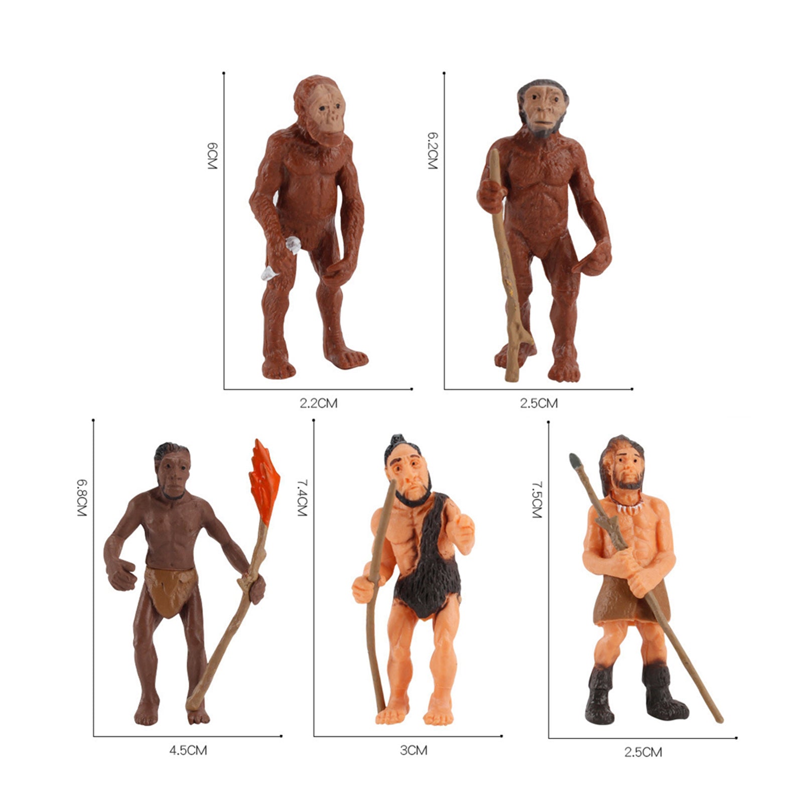 Simulation PVC Human Origin /Planet Model Toy Kids Birthday Gifts Decor 5pcs Human