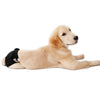 Reusable Pet Dog Underwear Diaper Adjustable Sanitary Panties for Female Black S