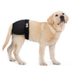 Reusable Pet Dog Underwear Diaper Adjustable Sanitary Panties for Female Black S