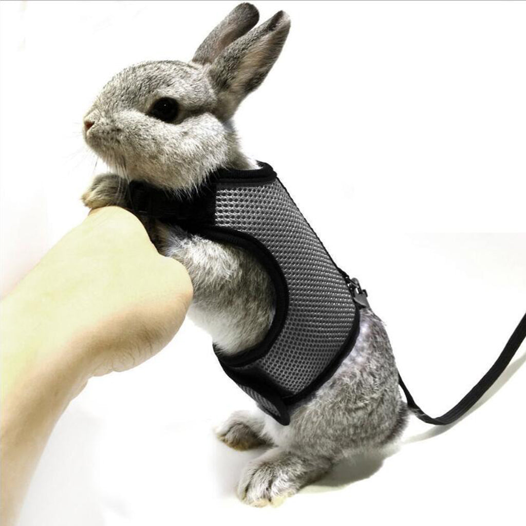 Small Pet Breathable Mesh Harness Leash for Hamsters Rabbits Rats Gray S