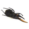 Load image into Gallery viewer, Animal Toys Educational Resource High Simulation Reallistic Insects Figure E