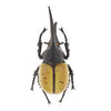 Animal Toys Educational Resource High Simulation Reallistic Insects Figure E