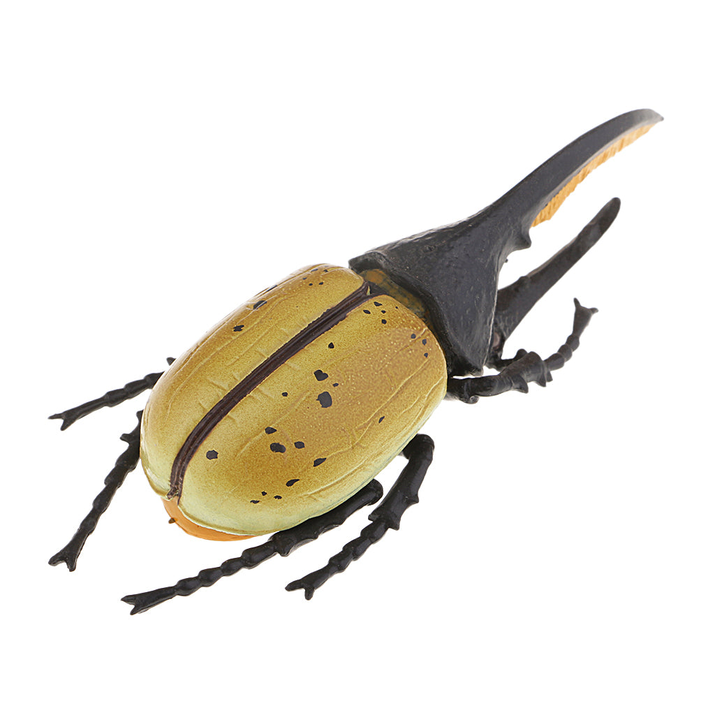 Animal Toys Educational Resource High Simulation Reallistic Insects Figure E