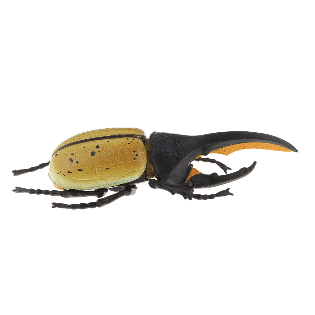 Animal Toys Educational Resource High Simulation Reallistic Insects Figure E