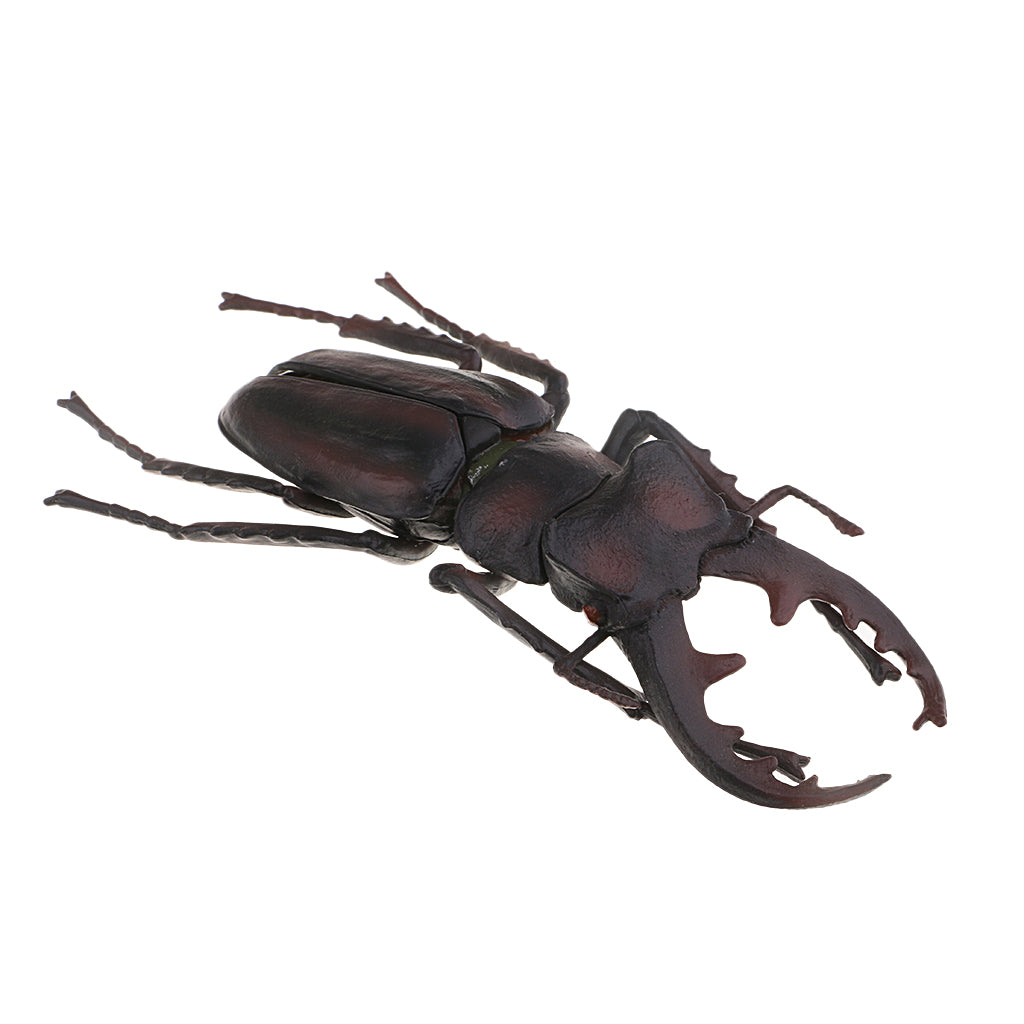 Animal Toys Educational Resource High Simulation Reallistic Insects Figure I