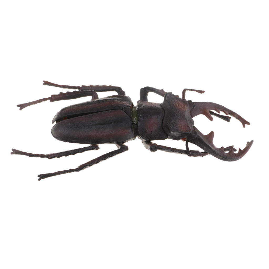 Animal Toys Educational Resource High Simulation Reallistic Insects Figure I