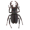 Animal Toys Educational Resource High Simulation Reallistic Insects Figure I