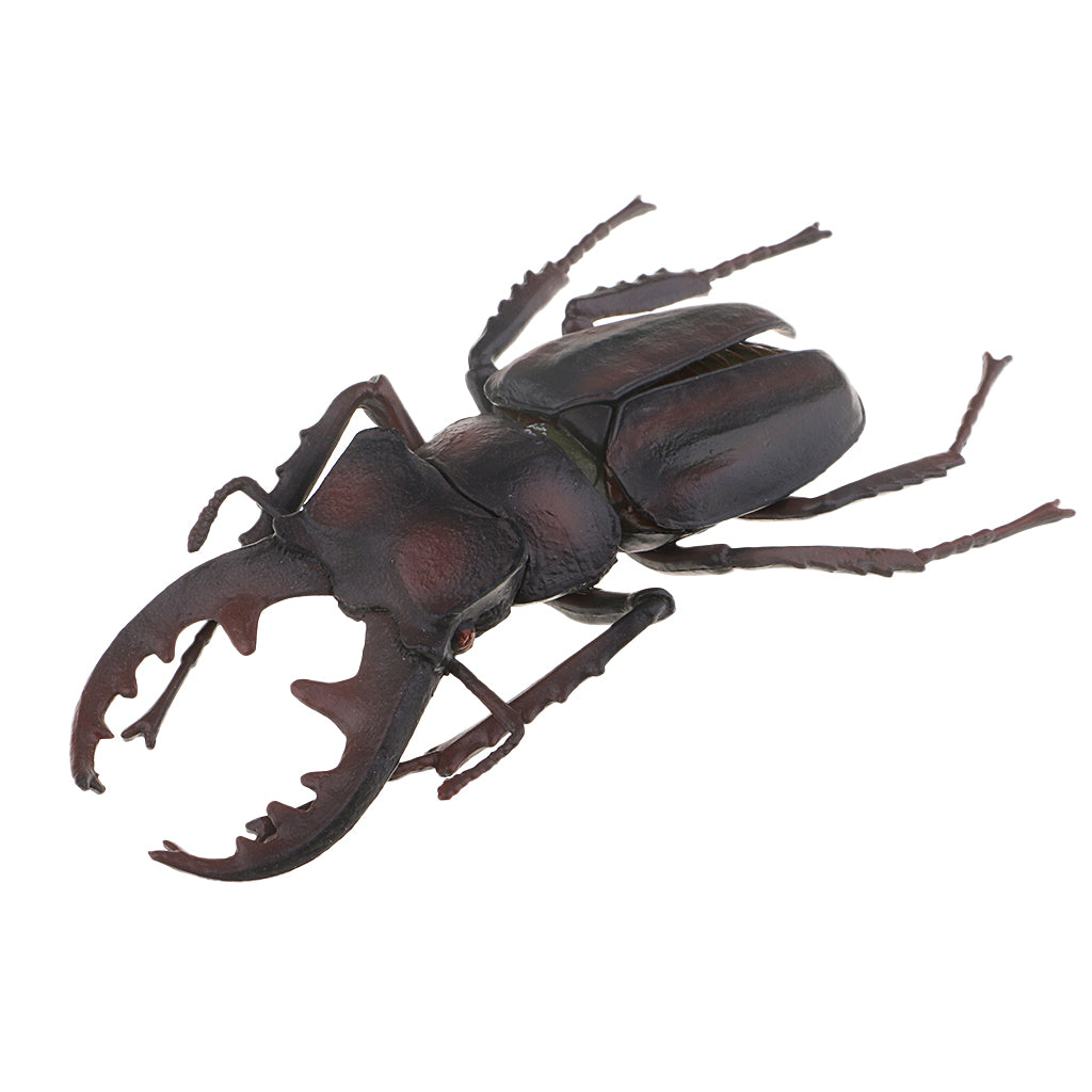 Animal Toys Educational Resource High Simulation Reallistic Insects Figure I