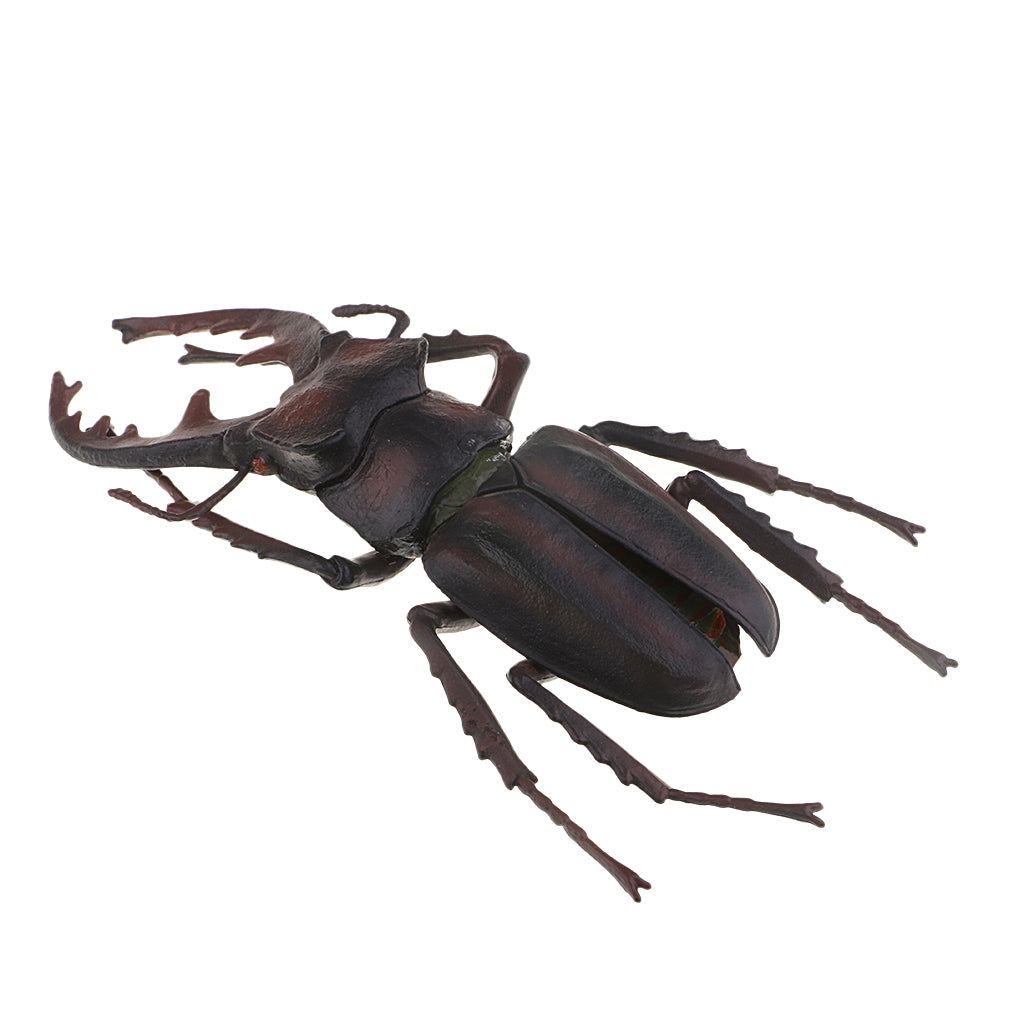 Animal Toys Educational Resource High Simulation Reallistic Insects Figure I