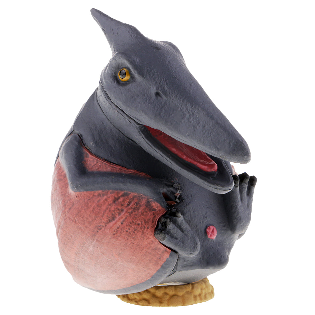 Jurassic Period Dinosaur Figurine Egg Hatching Collections pterosaur