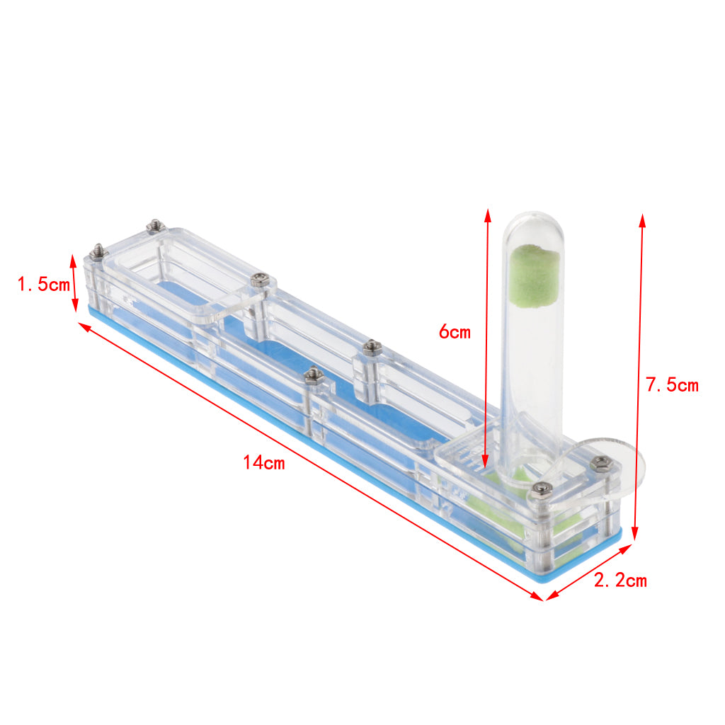 Clear Insect Ant Housing Acrylic Nest Ant Feed Farm Formicarium Box Blue