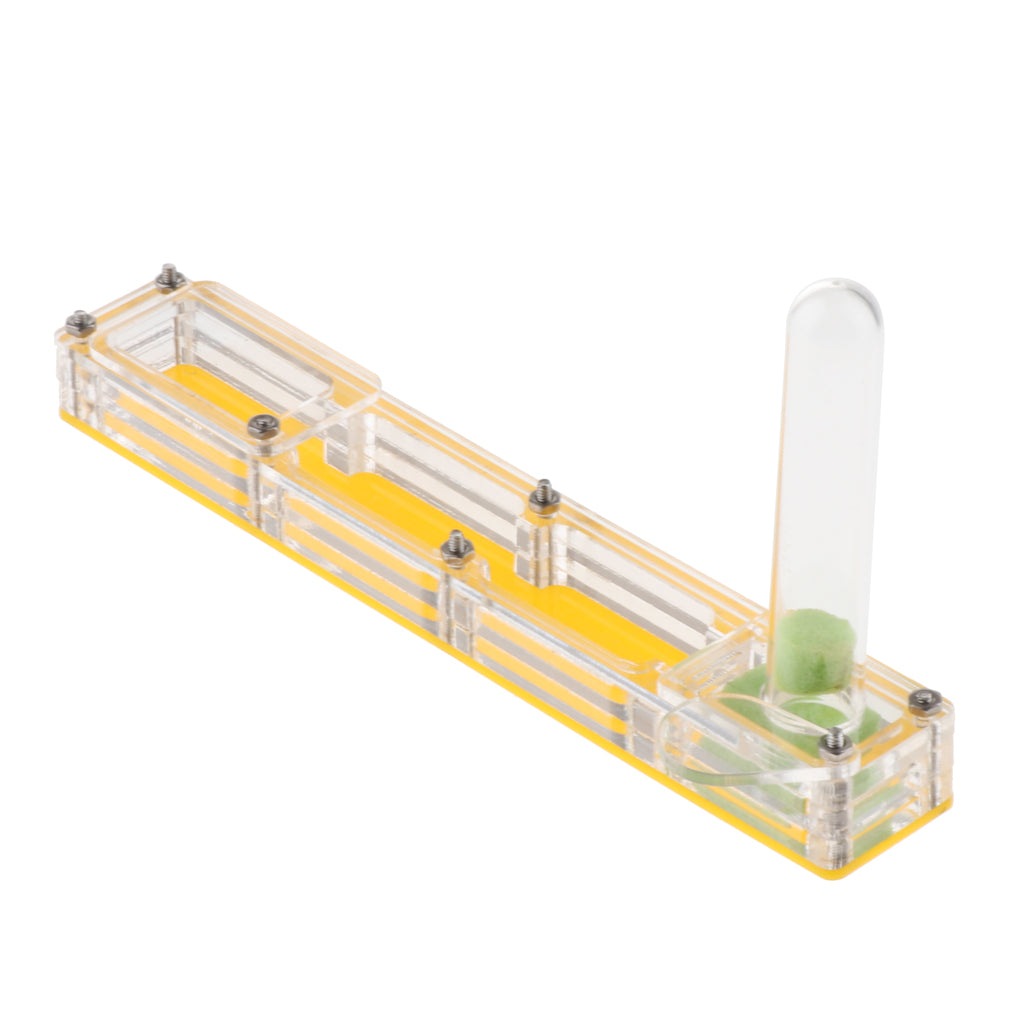 Clear Insect Ant Housing Acrylic Nest Ant Feed Farm Formicarium Box Yellow