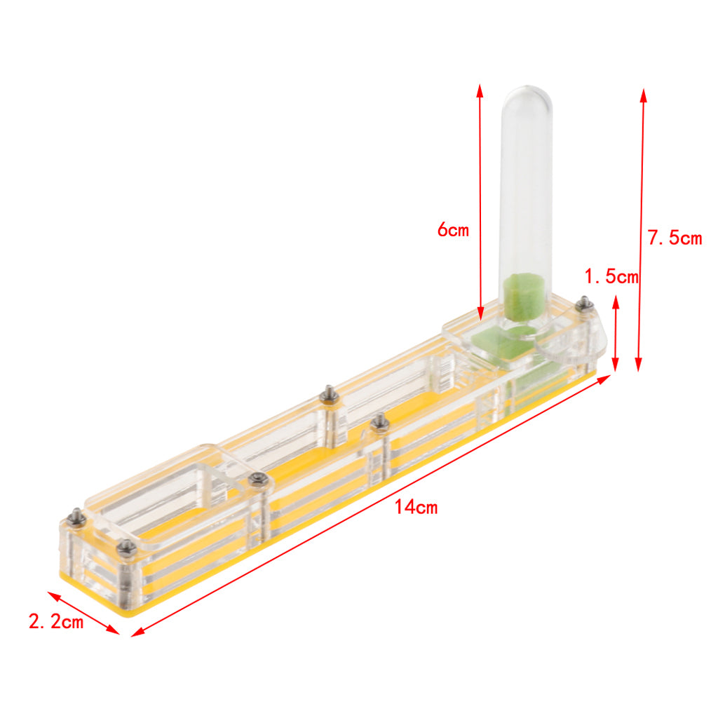 Clear Insect Ant Housing Acrylic Nest Ant Feed Farm Formicarium Box Yellow