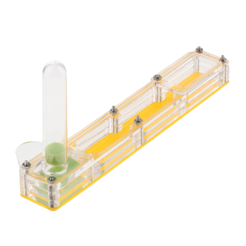 Clear Insect Ant Housing Acrylic Nest Ant Feed Farm Formicarium Box Yellow