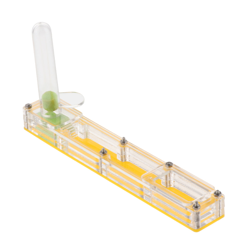 Clear Insect Ant Housing Acrylic Nest Ant Feed Farm Formicarium Box Yellow