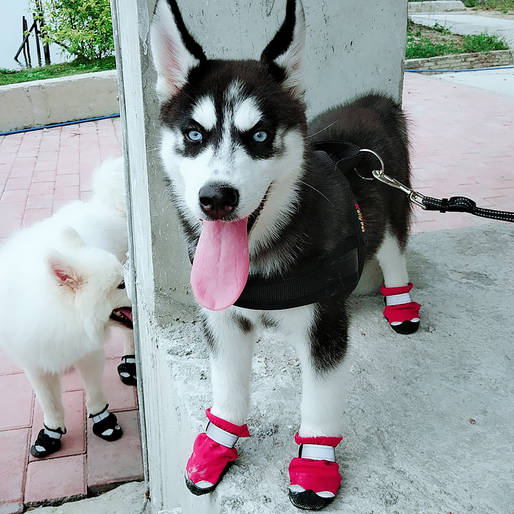 4 Pcs Pet Dog Shoes Boots Anti-Slip Waterproof Pet Paw Protector Dog Shoes  Red-M