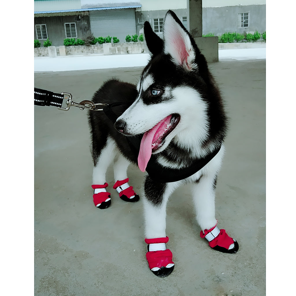 4 Pcs Pet Dog Shoes Boots Anti-Slip Waterproof Pet Paw Protector Dog Shoes  Red-M