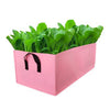 Black Thickened Felt Non-woven Plant Grow Bags Potato Container Pink_M