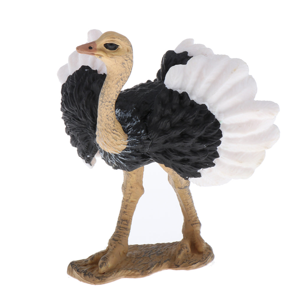 Simulation Multi Animal Model Figurine Educational Toy Home Decor Ostrich