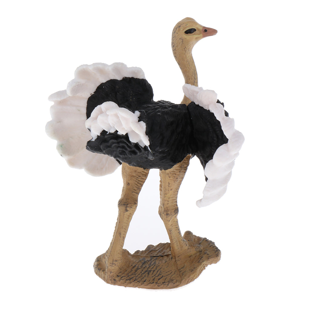 Simulation Multi Animal Model Figurine Educational Toy Home Decor Ostrich