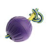 Foam Ball Pet Dog Training Toy Ball with Rope Purple_L