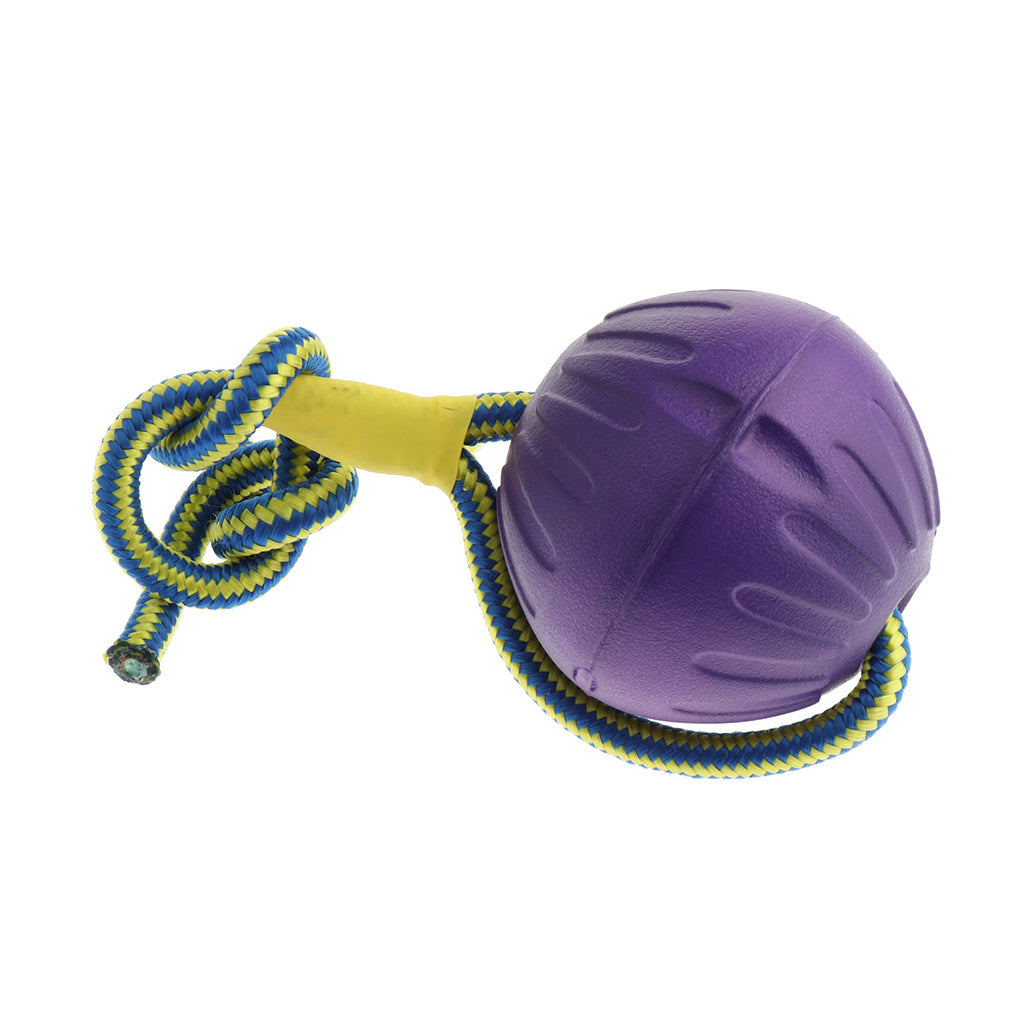 Foam Ball Pet Dog Training Toy Ball with Rope Purple_L