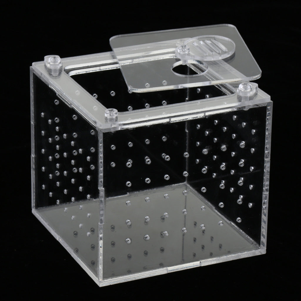 Clear Acrylic Box Pet Reptile Transport Breeding Feeding Case 10x10x10cm