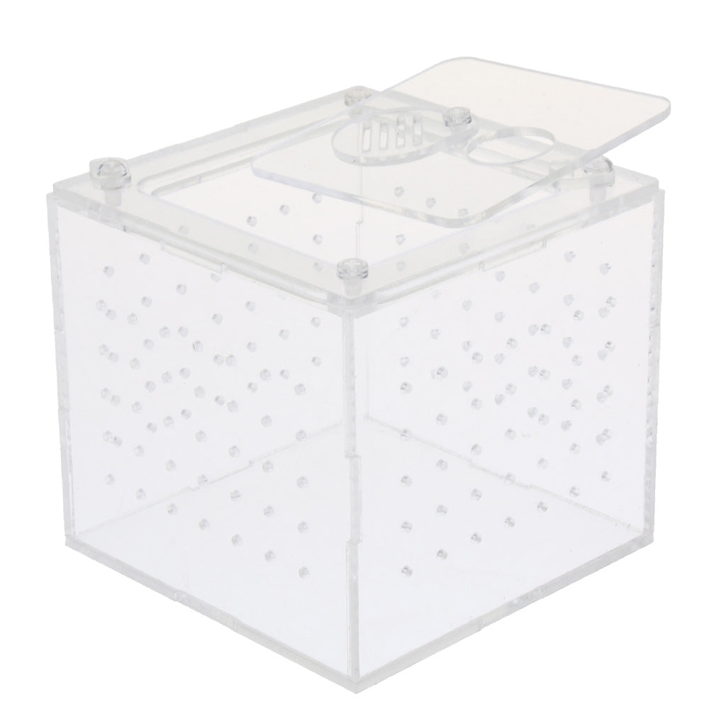 Clear Acrylic Box Pet Reptile Transport Breeding Feeding Case 10x10x10cm