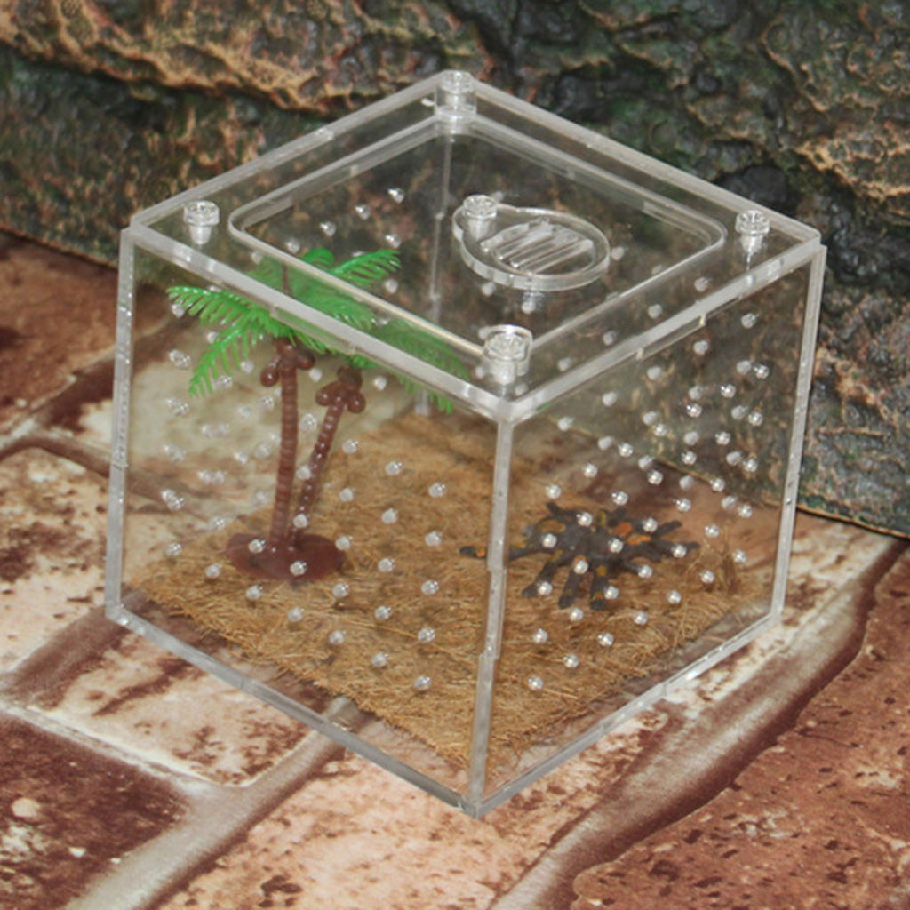 Clear Acrylic Box Pet Reptile Transport Breeding Feeding Case 10x10x10cm