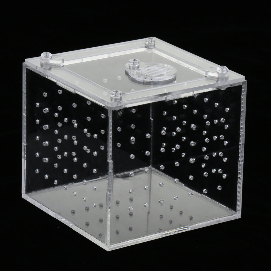 Clear Acrylic Box Pet Reptile Transport Breeding Feeding Case 10x10x10cm