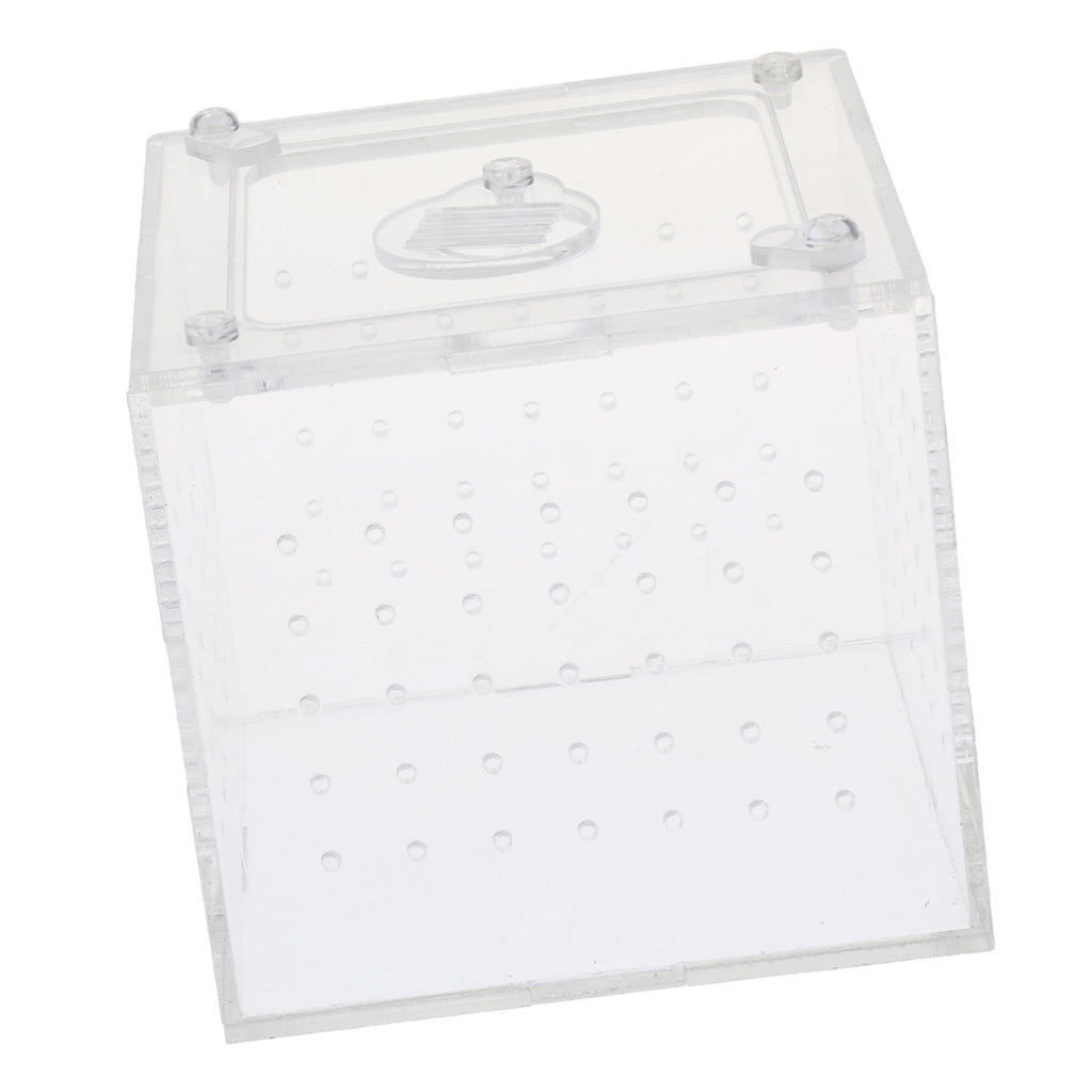 Clear Acrylic Box Pet Reptile Transport Breeding Feeding Case 10x10x10cm