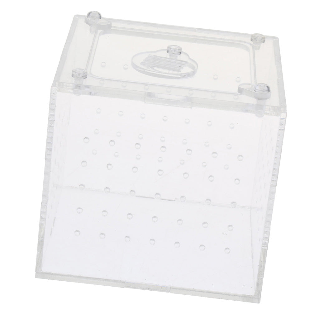 Clear Acrylic Box Pet Reptile Transport Breeding Feeding Case 10x10x10cm