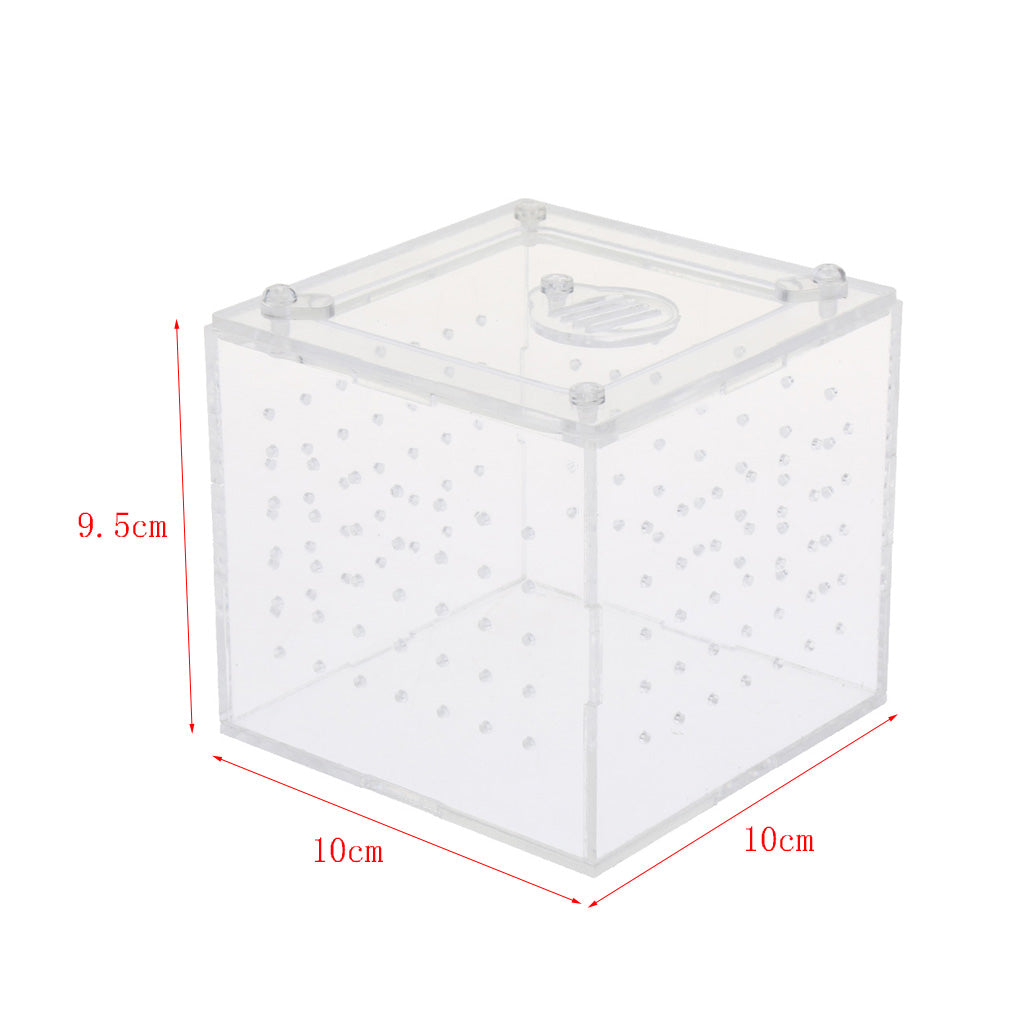 Clear Acrylic Box Pet Reptile Transport Breeding Feeding Case 10x10x10cm