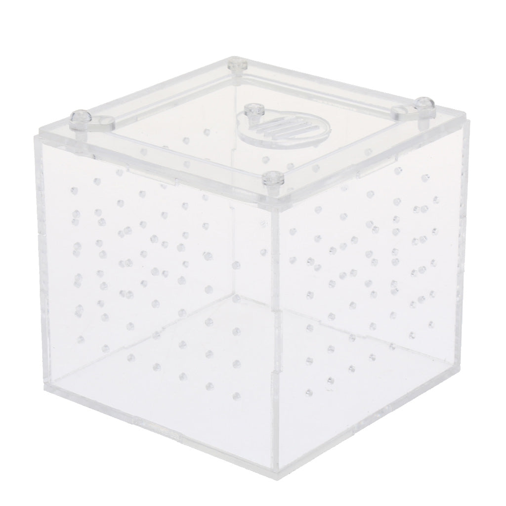 Clear Acrylic Box Pet Reptile Transport Breeding Feeding Case 10x10x10cm