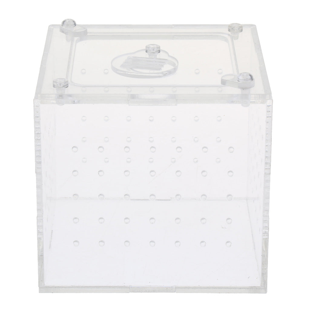 Clear Acrylic Box Pet Reptile Transport Breeding Feeding Case 10x10x10cm