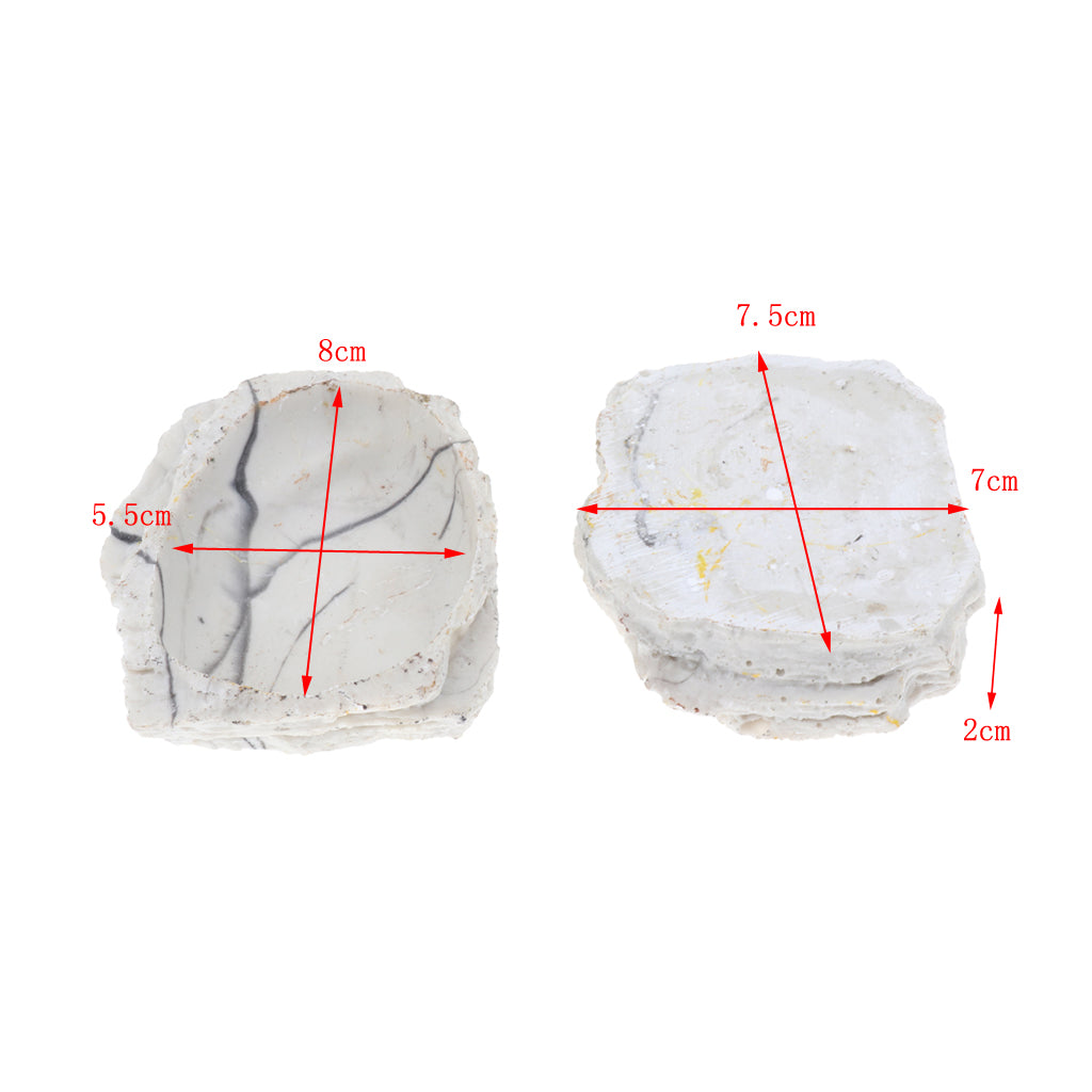 2xResin Rock Bowl Food Water Dish Feeder Plate for Terrarium Reptile Tank  2