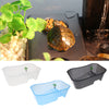 Plastic Reptile Terrapin Tortoise Turtle Tank Vivarium Feeding Box White