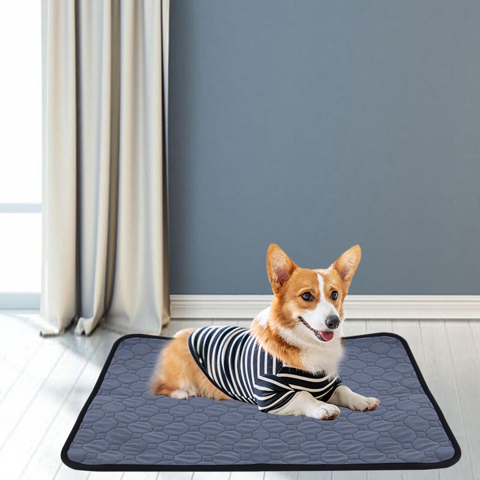 Pee Pad Urine Mat Fast Absorbent Reusable for Dog Puppy Supplies S