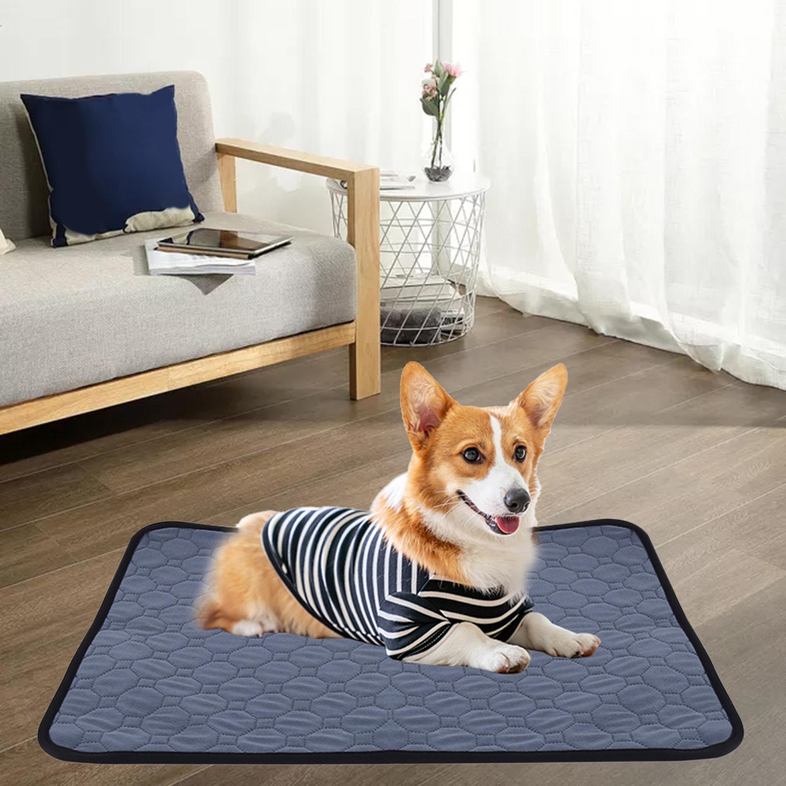 Pee Pad Urine Mat Fast Absorbent Reusable for Dog Puppy Supplies S