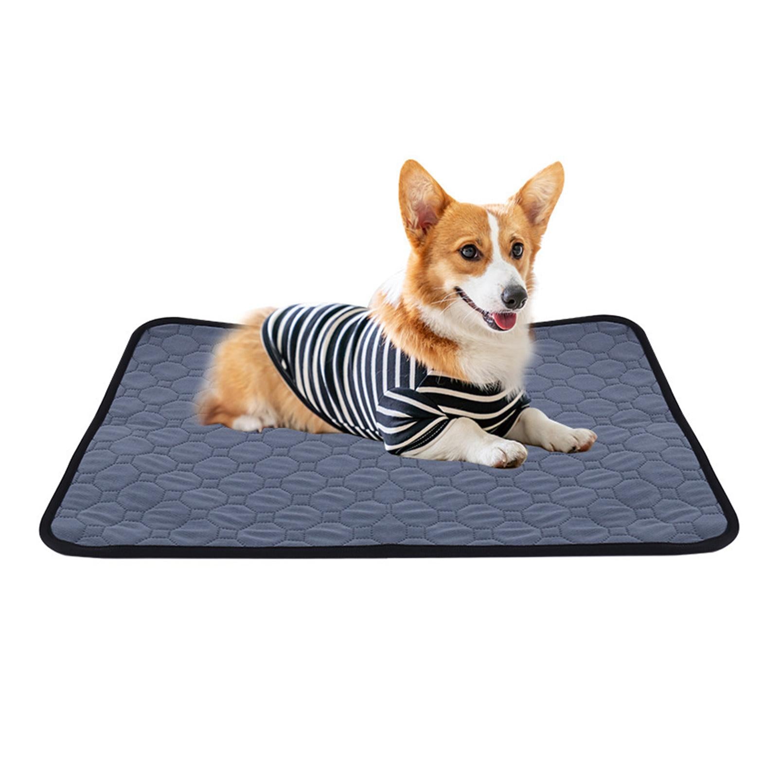 Pee Pad Urine Mat Fast Absorbent Reusable for Dog Puppy Supplies S