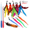 Funny Cat Feather Teaser Wand Toys with 10 Refills Training Toy Pet Supplies